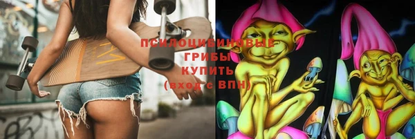 ГАЛЛЮЦИНОГЕННЫЕ ГРИБЫ Абдулино