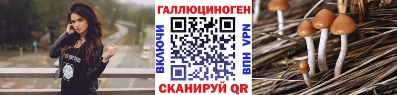 мега как зайти  Карпинск  Псилоцибиновые грибы прущие грибы 